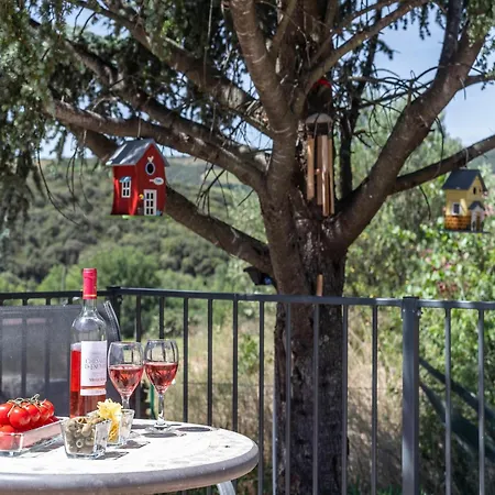 Beautiful With Private Heated Pool Roquebrun